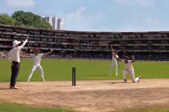 A bowler and the team appeals to the  umpire  and the umpire gives out decision during a cricket match