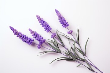 Colorful lavender sprig on light background. Generative AI - obrazy, fototapety, plakaty