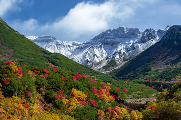 北海道　十勝岳連峰の紅葉