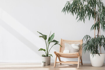Fototapeta premium View of modern scandinavian style interior with chair and green plants, Home staging, green living and minimalism concept