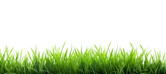 Photo sur Aluminium Herbe Fresh green grass field isolated on transparent  background for montage product display, Png files