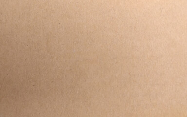 Brown craft paper cardboard texture. Kraft paper texture. Vector illustration