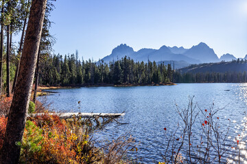 Autumn colors foliage illuminated by sunset at mountains lake shores