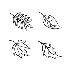 Vector Set autumn leaves doodle style black and white. Leaves of aspen, birch, maple, rowan. Hand drawn Design for natural and organic designs, icon, web elements in doodle style.