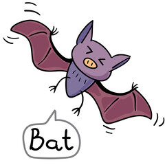 I'm active at night. When I sleep, I like to hang my head.