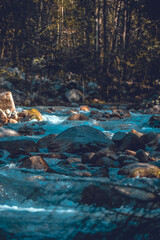 mountain river in the forest