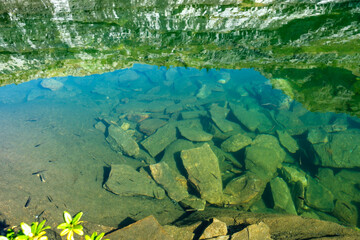 Pesci nelle acque del Lago del Paione, Val Bognanco, Verbano-Cusio-Ossola