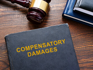 Compensatory damages law and wooden gavel.