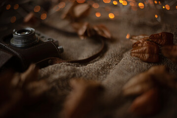 Autumn vintage background composition with retro photo camera.