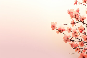 Minimal pink spring background with cherry blossoms