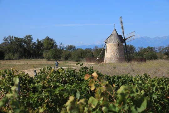 Person on bike cycling towards Moulin de Claira with Pyrénées mountains visible  in background. A fully restored windmill located near Claira, Pyrénées-Orientales, France