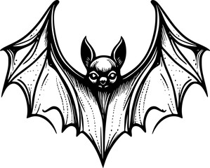 bat cartoon