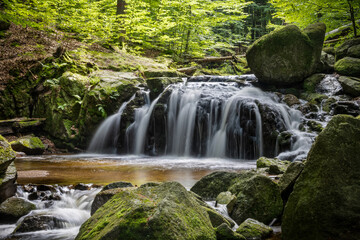 Summer forest with amazing creek cascades