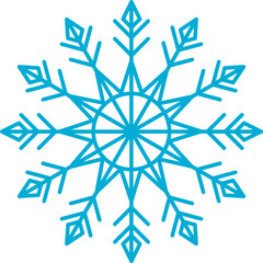 Winter Snowflake Icon