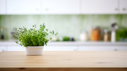 Green herb in white flower pot on wooden table - detail from modern home kitchen