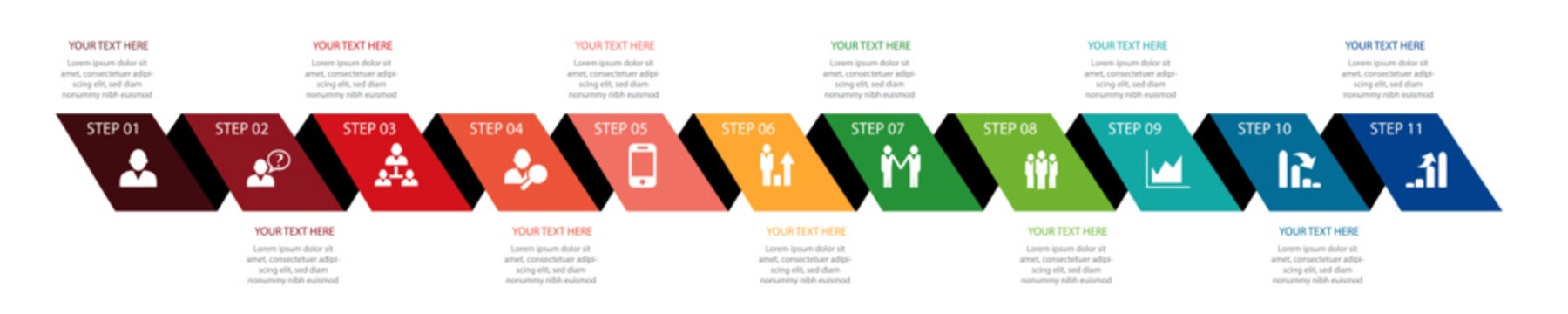 11 step Vector infographic design template	
