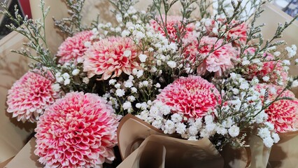Close up of pink chrysanthemum flowers in a bouquet as a gift with white tips on their petals....