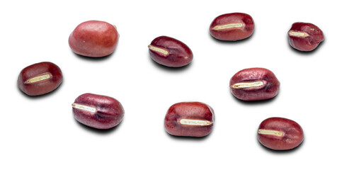 Azuki Beans on transparent png