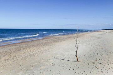 The coast of the Baltic Sea near the city of Leba