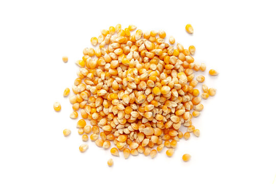 Pile of organic Corn Seeds (Zea mays) or Makka isolated on a white background. Top view