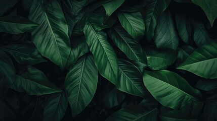 abstract green leaf texture nature background