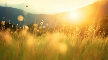 Gordijnen Beautiful sunrise in the mountain Meadow landscape refreshment with sunray and golden bokeh  © Fred