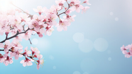 大きなコピースペースのある明るく美しい桜の花のサムネイル用背景画像