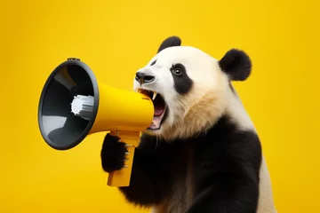 Poster panda with megaphone on yellow background © Salawati