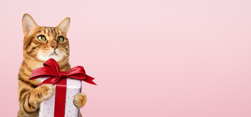 Happy cat holds a gift in her paws.