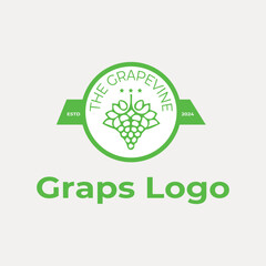 eco friendly logo design