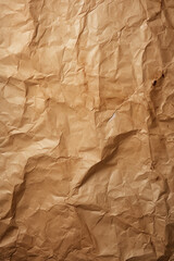old wet and lightly crumpled paper texture, birdseyeview, no shading highlights