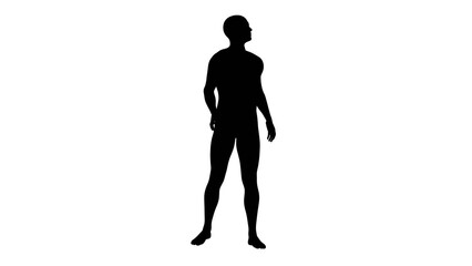 Silhouette of a beautiful young athletic man looking back, transparent background. 3d illustration (rendering).
