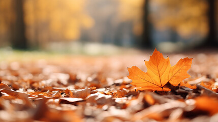 Naklejka na ściany i meble Closeup of red autumn leaves on ground