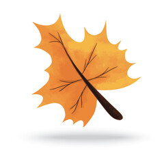 leaft autumn season paint watercolor vector design
