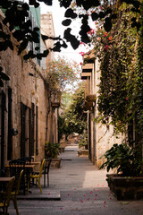 Romance alley in Morelia, Mexico. Narrow street. Old architecture with a lot of trees and nature around. Beautiful city.