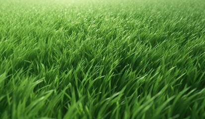 Fototapeta premium Closeup of grenn grass field background texture for web banner, design template, Generative AI