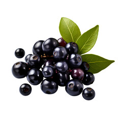 Fototapeta premium Chokeberries isolated on transparent background