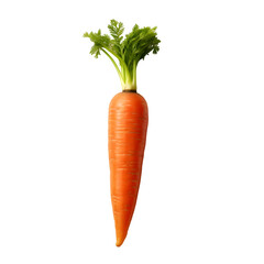 carrot png