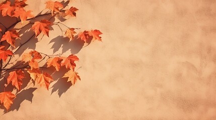 Naklejka na ściany i meble Autumn background with shadow of the maple tree leaves on a wall. Abstract Autumnal scene.