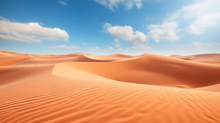 Fototapeta na wymiar Beautiful sand dunes in the Sahara Desert