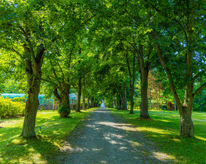 Park, gdzies w Polsce © Przemyslaw