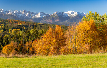 Fototapeta na wymiar Mountain landscape, Tatra mountains panorama, colorful autumn view from Lapszanka pass, Poland and Slovakia.