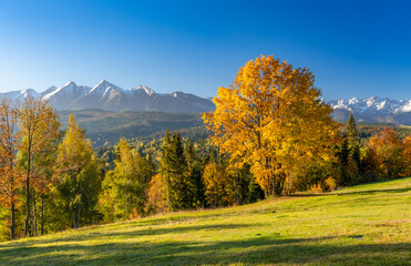 Mountain landscape, Tatra mountains panorama, colorful autumn view from Lapszanka pass, Poland and Slovakia.