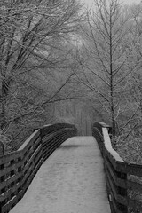 Snowy bridge.