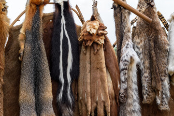 Trap Line Pelts