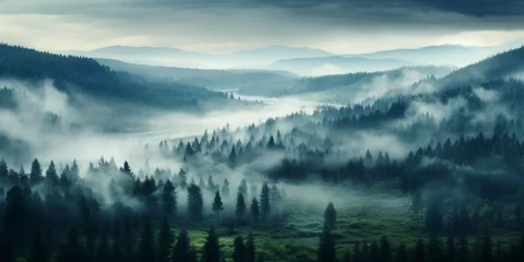 Wandaufkleber Wald im Nebel Foggy landscape with tir forest Background