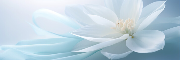 Fototapeta na wymiar BEAUTIFUL, ELEGANT WALLPAPER WITH WHITE AND BLUE FLOWERS CLOSE-UP, SOFT GENTLE LIGHTING. HORIZONTAL IMAGE. image created by legal AI