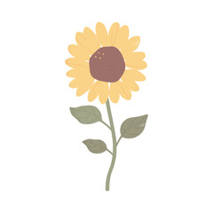 Sunflower with stem and leaves in hand drawn cartoon style. Yellow flower in pastel colors. Vector, png on transparent background