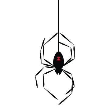Black Hanging Spider With Web Vector Illustration Image