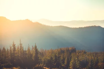 Gordijnen Mountain range and pine tree forest under sunset soft light. Morning sunrise fog in alpine highlands. Golden hours, bright warm colors. Wild nature beautiful landscape background. Travel, hiking © Anastasia Pro